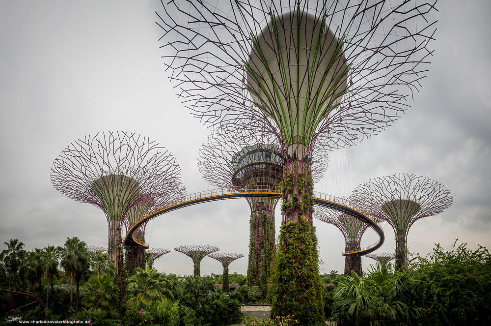 Singapore [13] - Supertrees