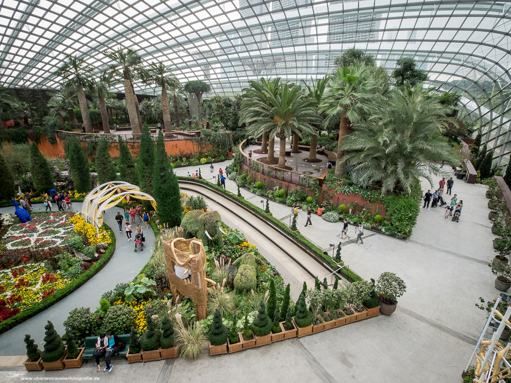 Singapore [14] - Flower Dome