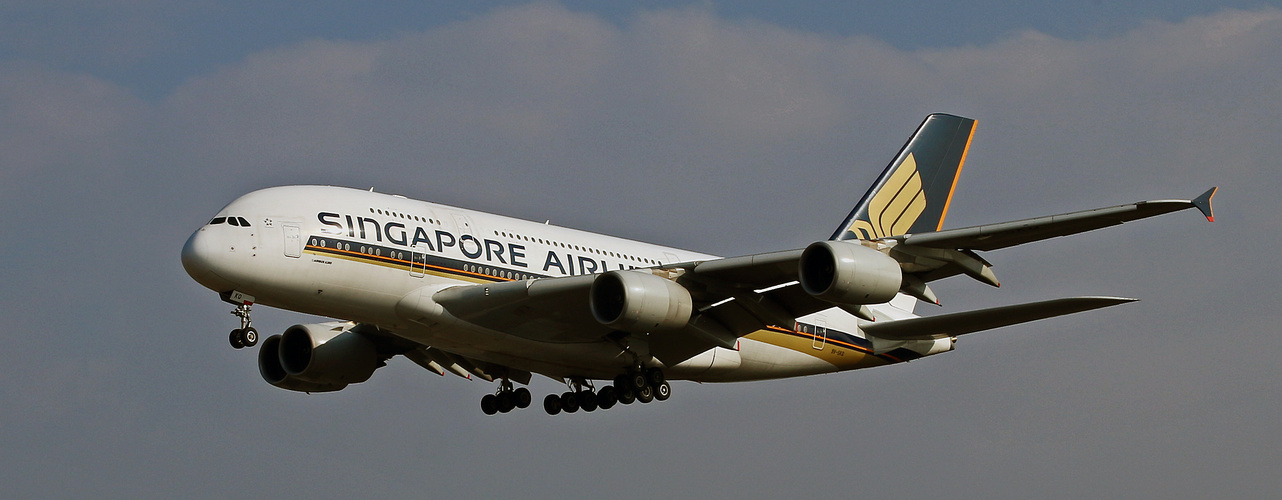 SINGAPORE AIRLINES