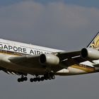 SINGAPORE AIRLINES