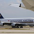 SINGAPORE AIRLINES