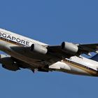 SINGAPORE AIRLINES