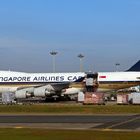 SINGAPORE AIRLINES / CARGO