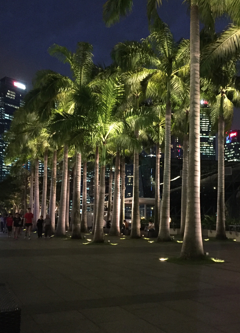 singapore bei Nacht ***