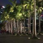 singapore bei Nacht ***