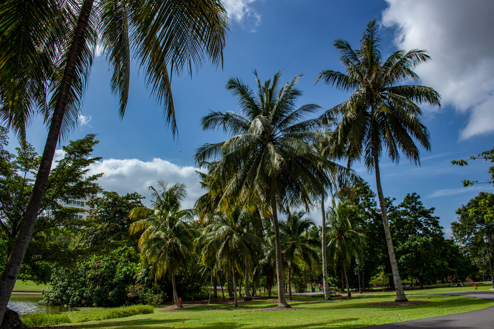 Singapore Botanic Gardens