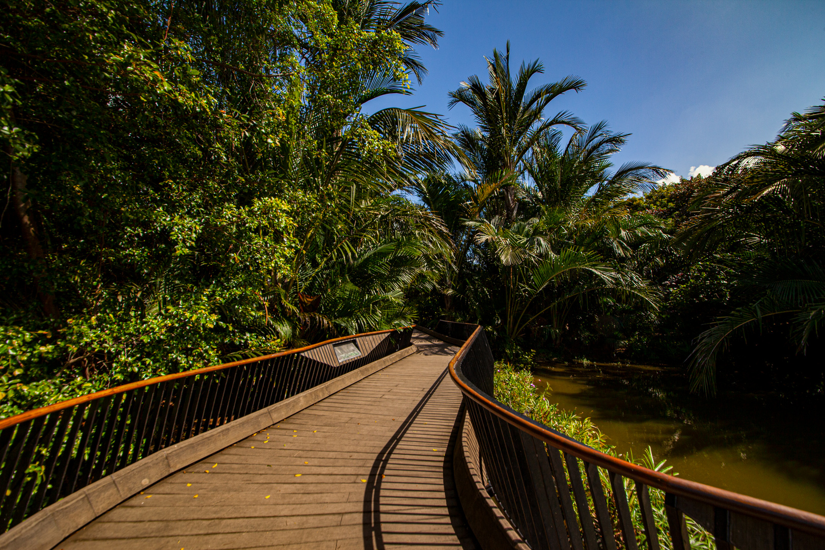 Singapore Botanic Gardens