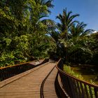 Singapore Botanic Gardens