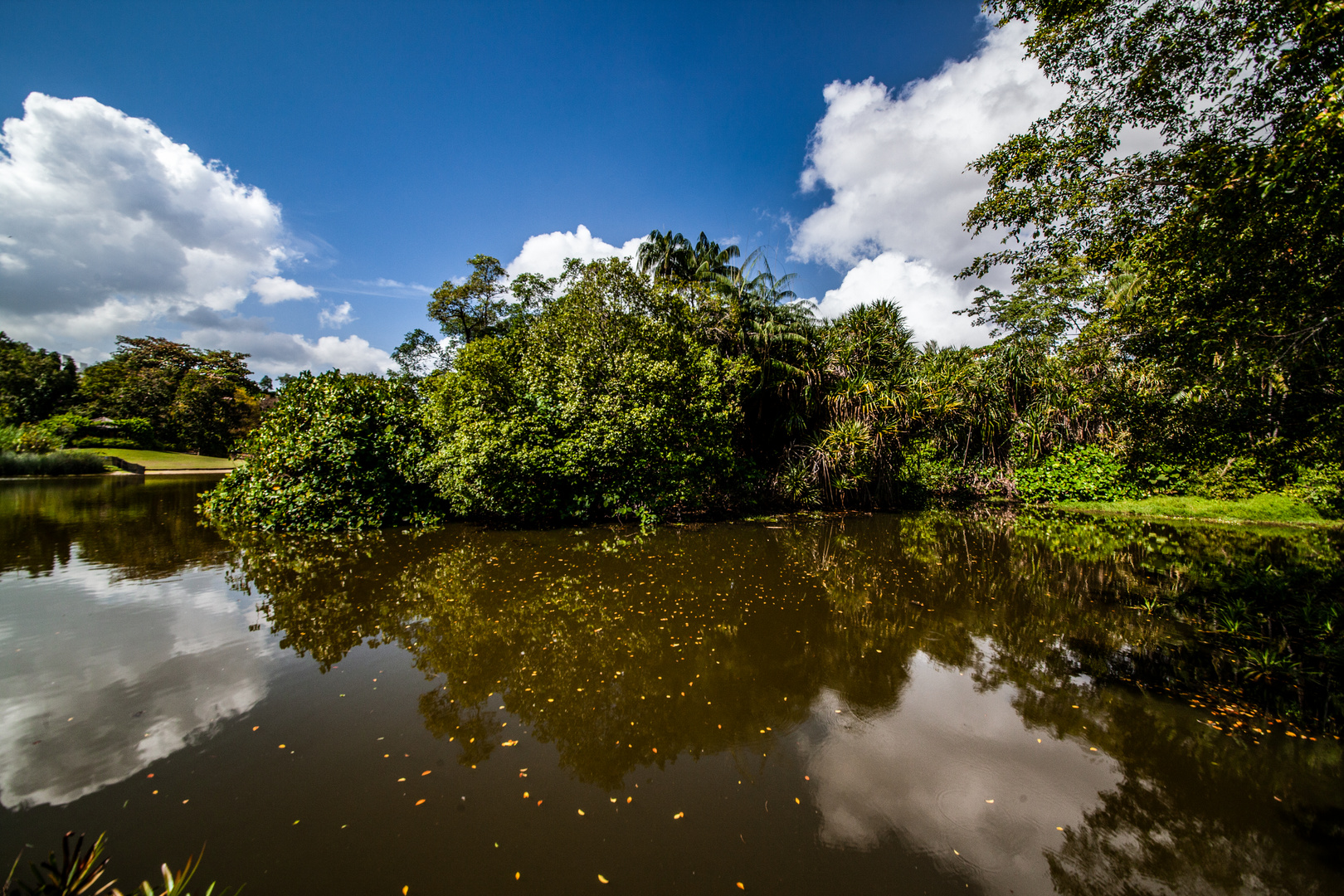 Singapore Botanic Gardens