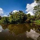 Singapore Botanic Gardens