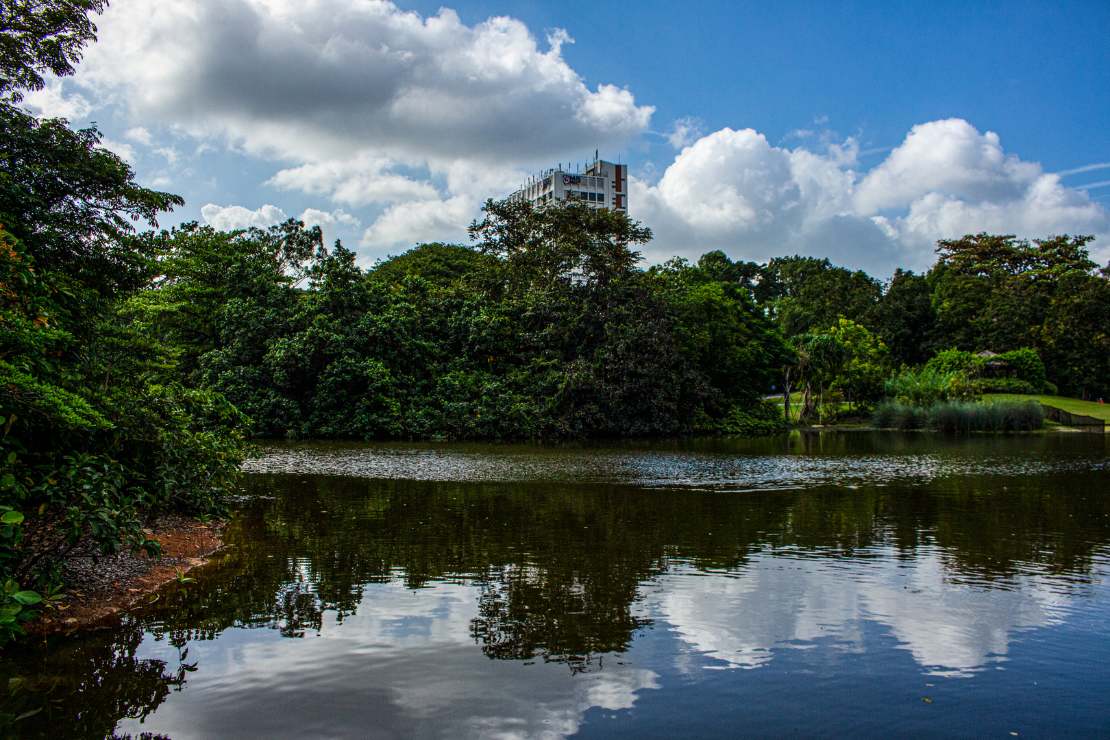 Singapore Botanic GardensIMG_9494a