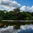 Singapore Botanic GardensIMG_9494a