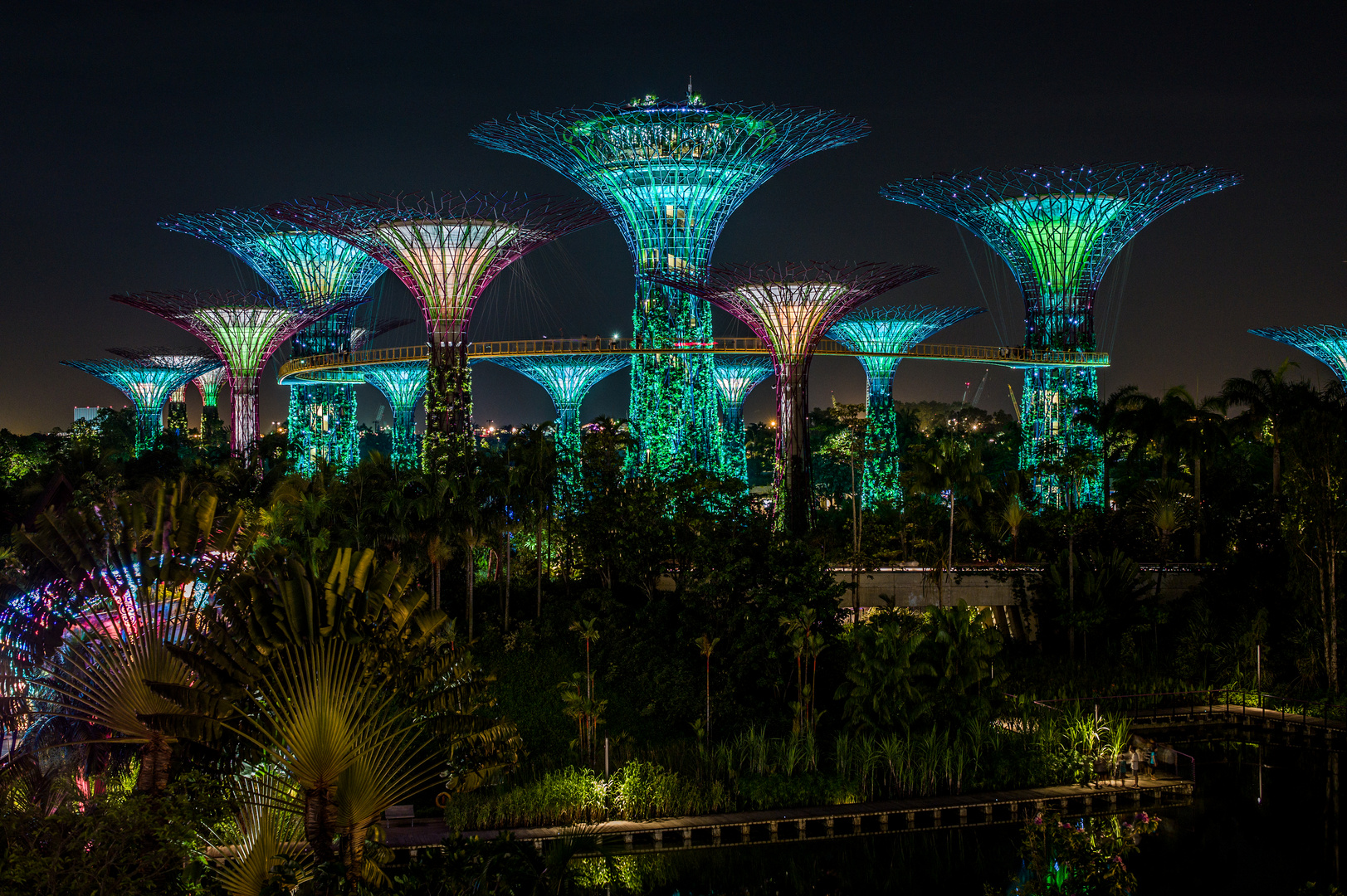 Singapore by Night (III)