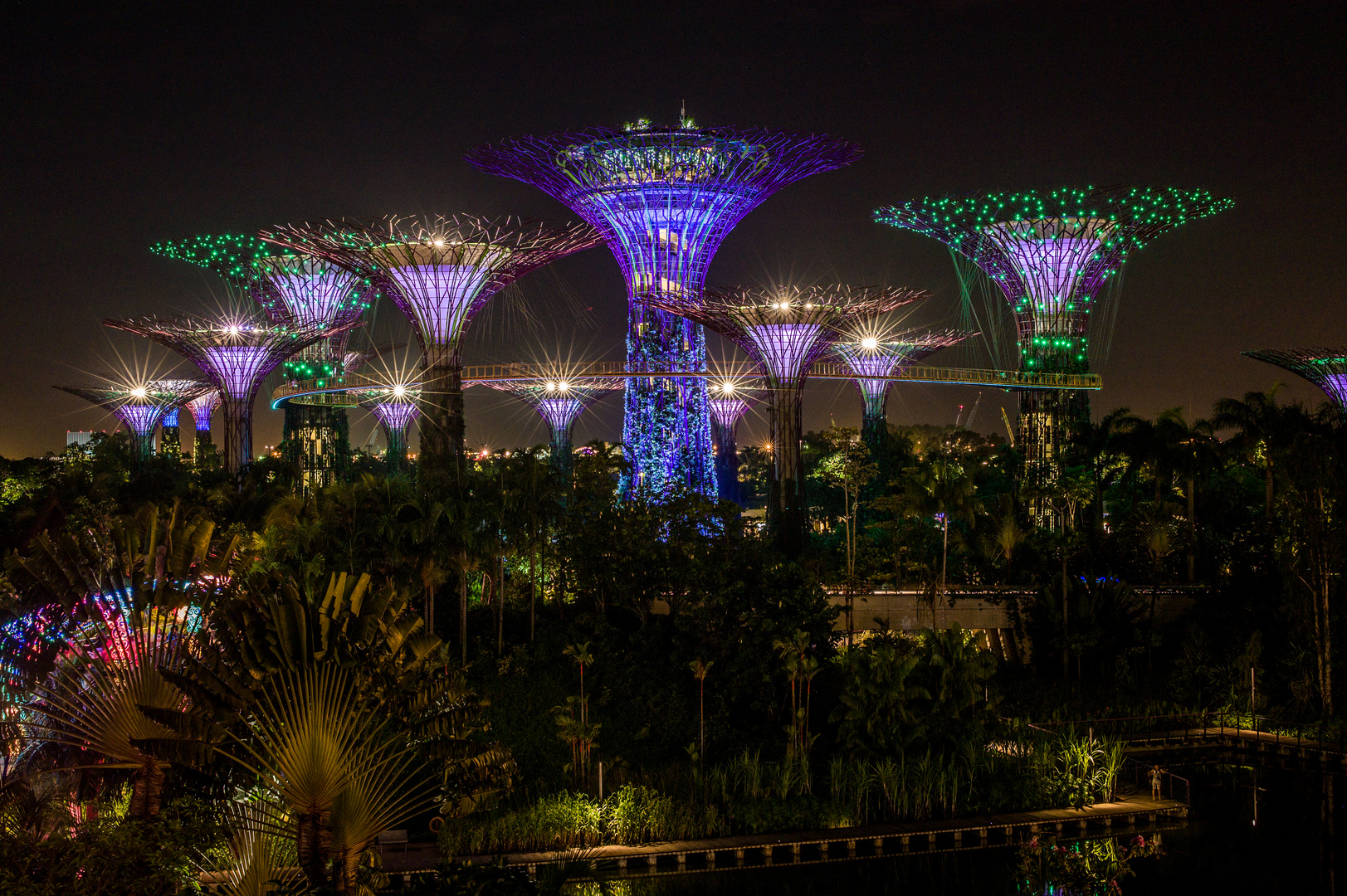 Singapore by Night (XV)