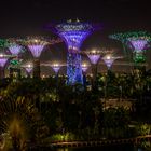 Singapore by Night (XV)