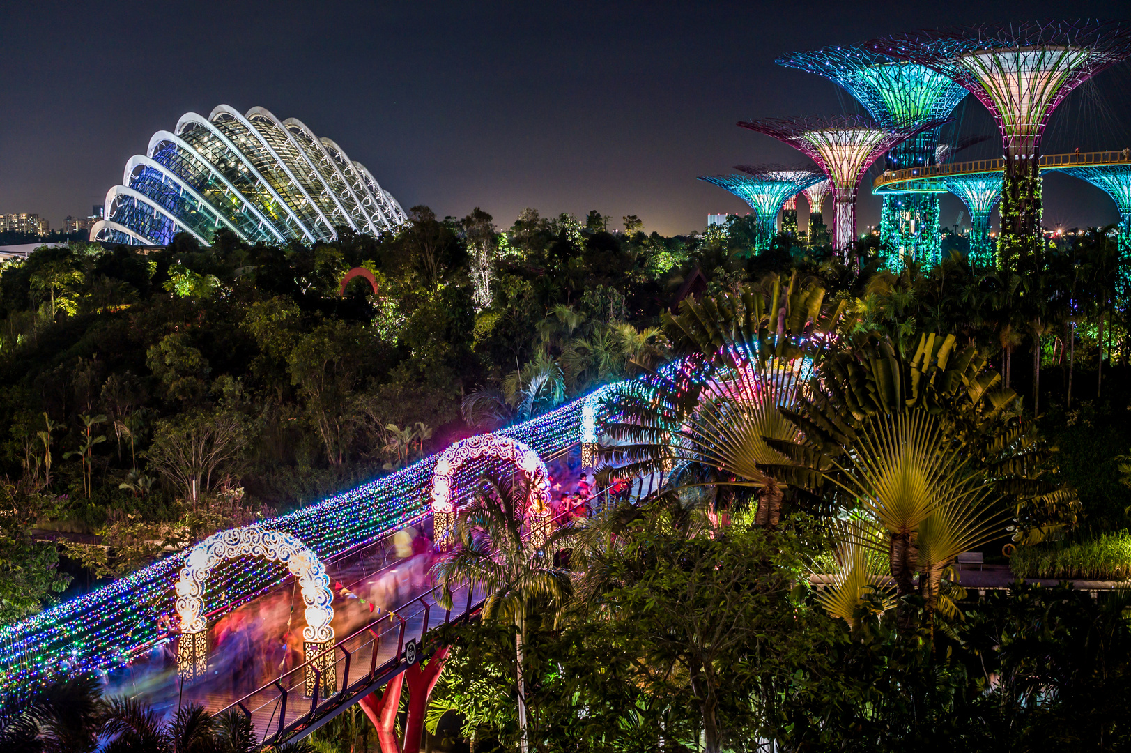 Singapore by Night (XXII)