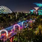 Singapore by Night (XXII)