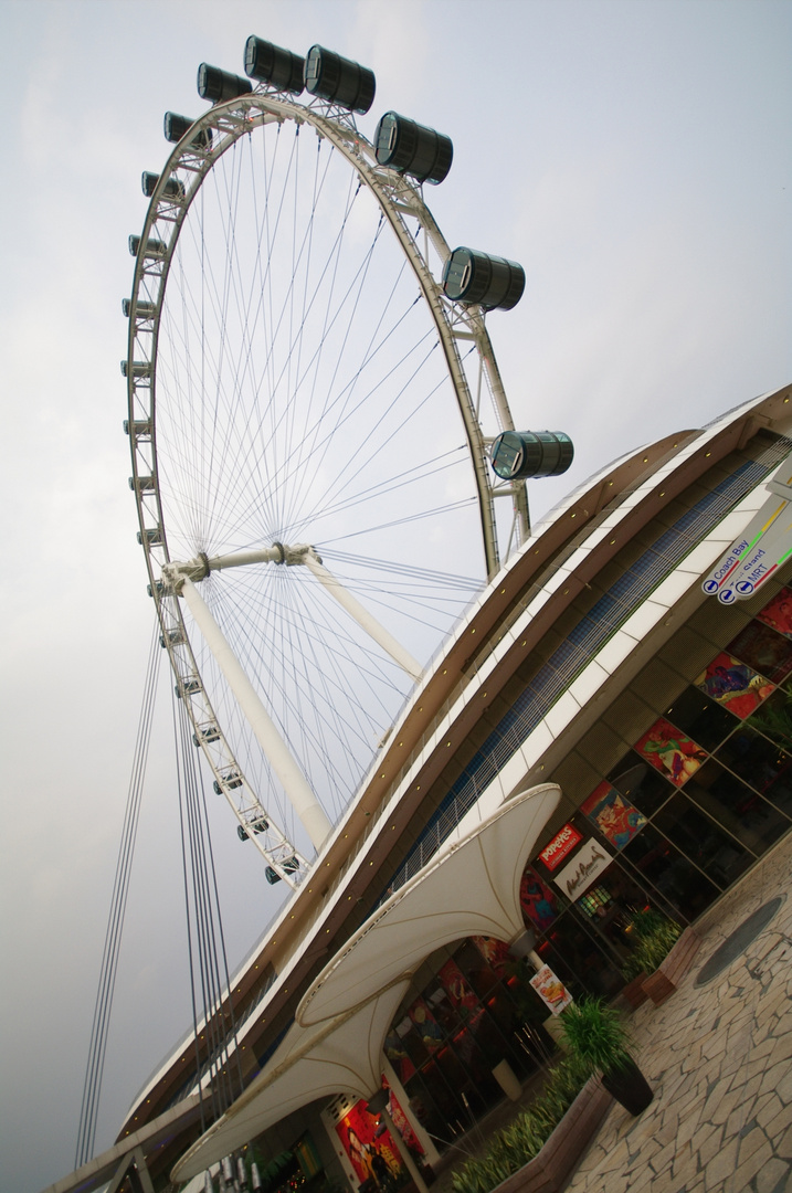 Singapore Flyer