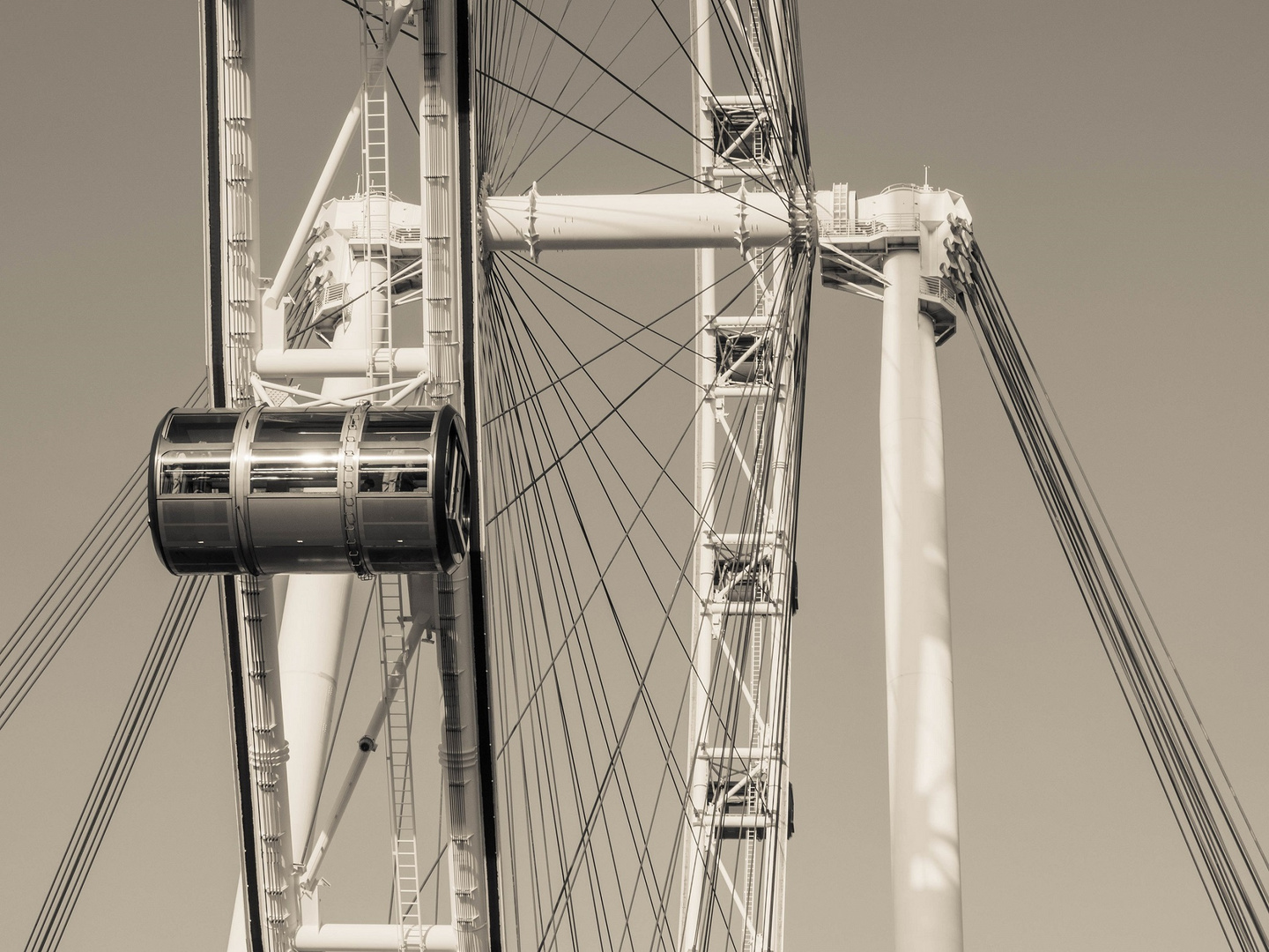 singapore flyer