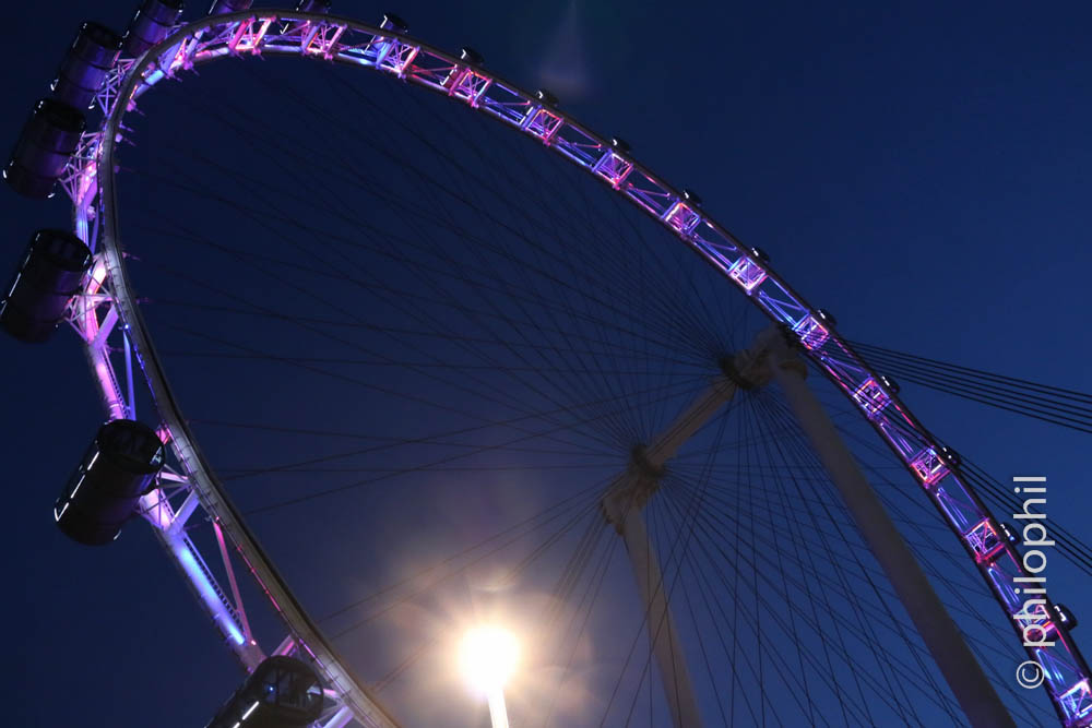 Singapore Flyer