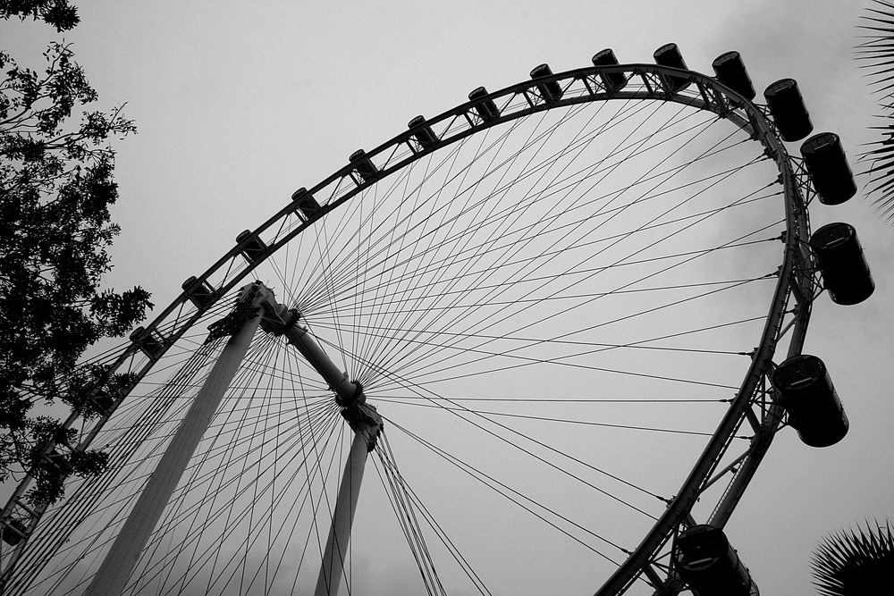 Singapore Flyer