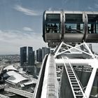 singapore flyer