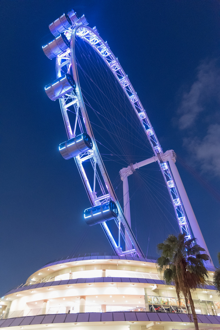 Singapore Flyer