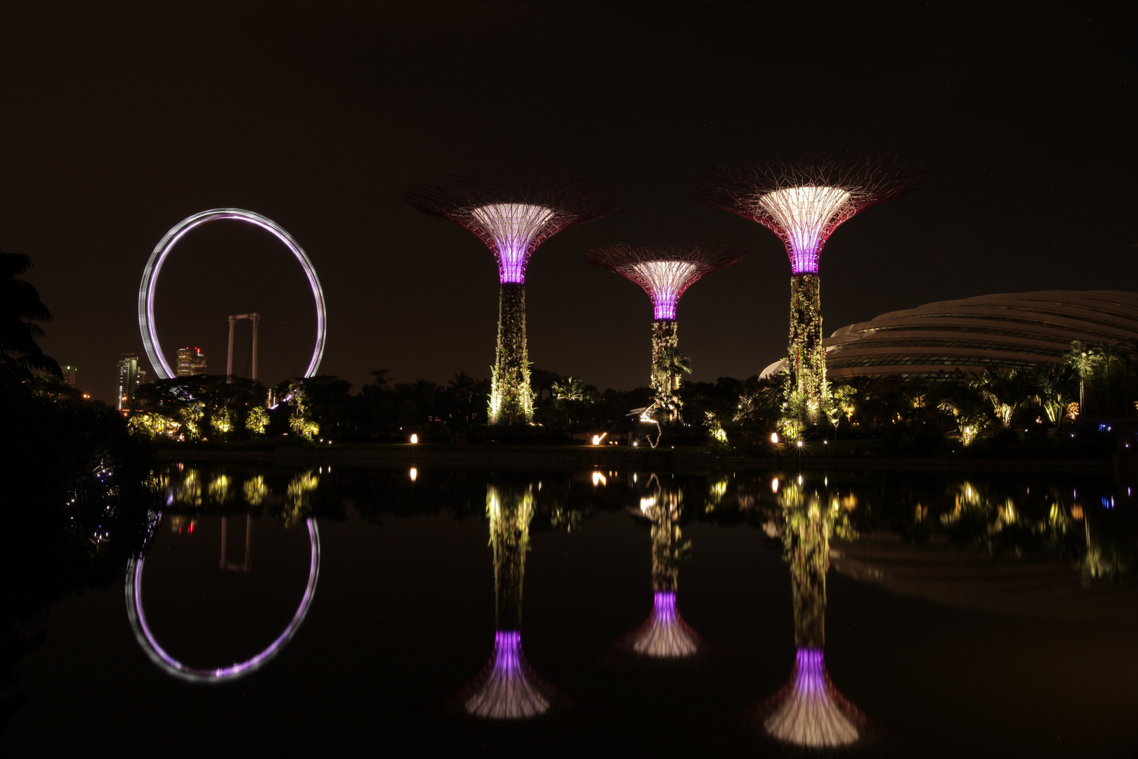 SINGAPORE FLYER MEETS GARDENS BY THE BAY