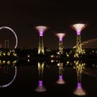 SINGAPORE FLYER MEETS GARDENS BY THE BAY