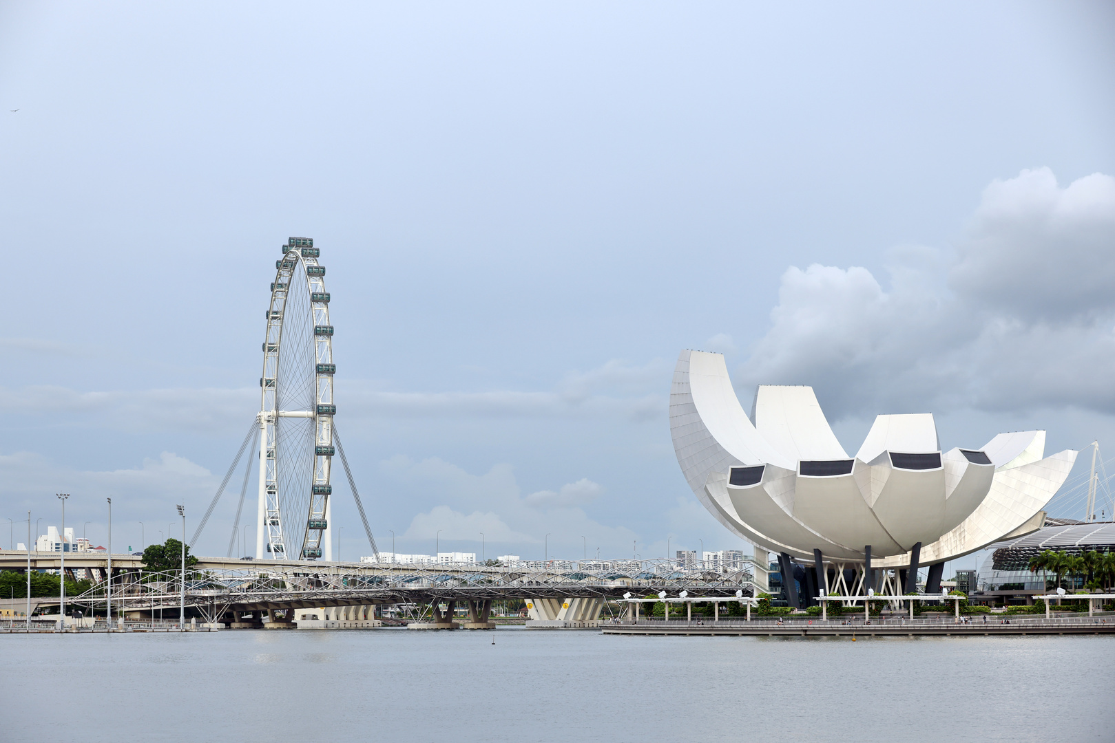 Singapore Flyer und Lotusblüte