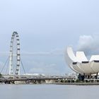 Singapore Flyer und Lotusblüte