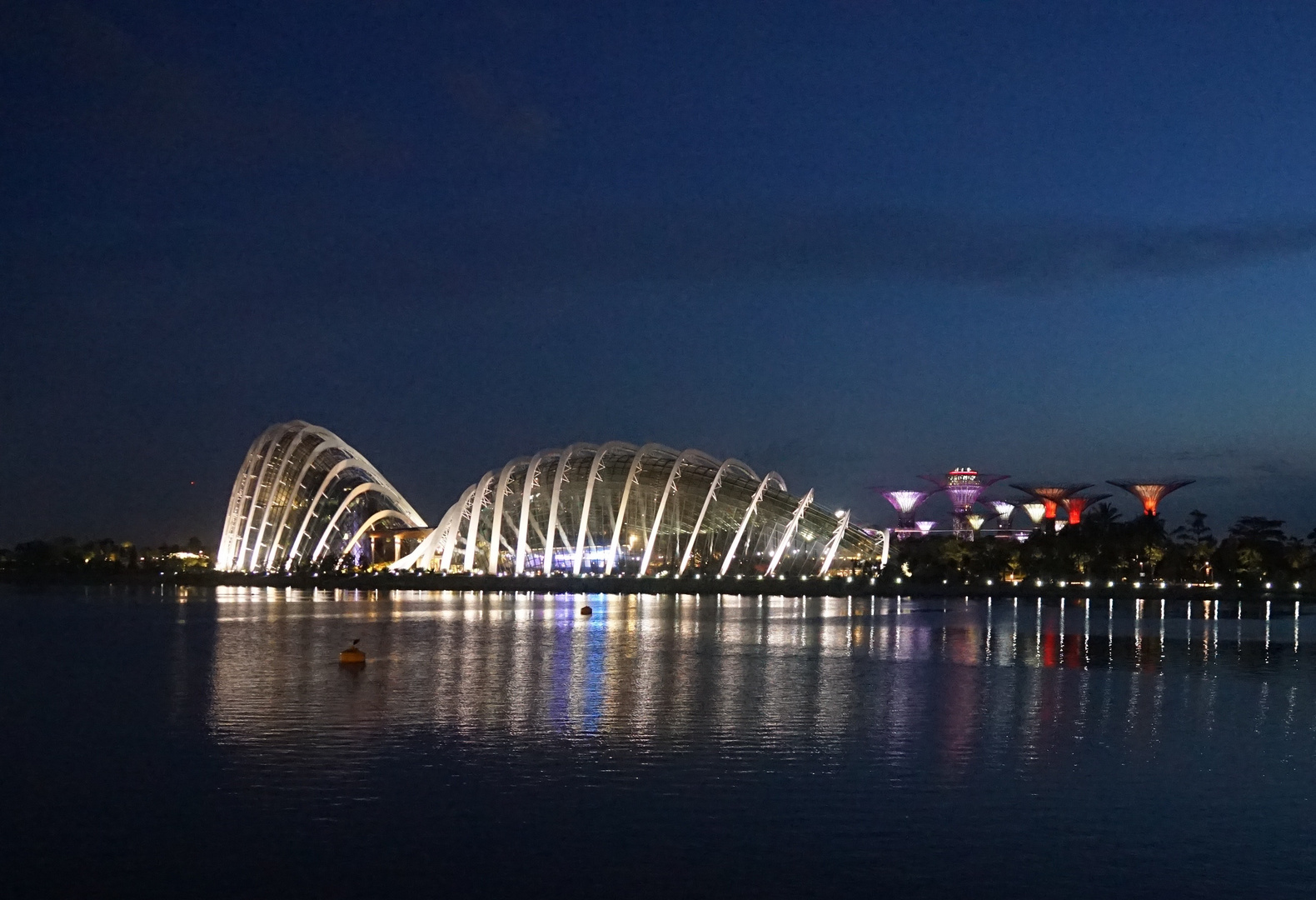 Singapore - Gardens by the Bay