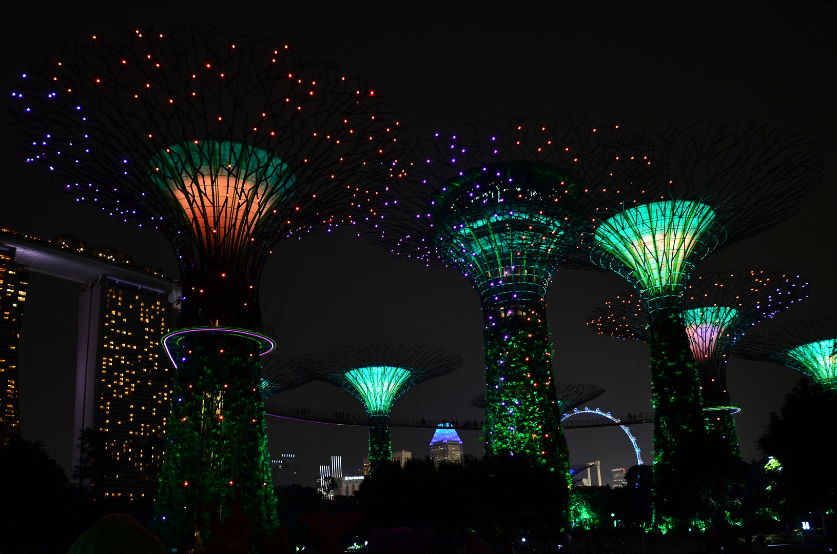 Singapore - Gardens by the Bay at night