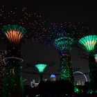 Singapore - Gardens by the Bay at night