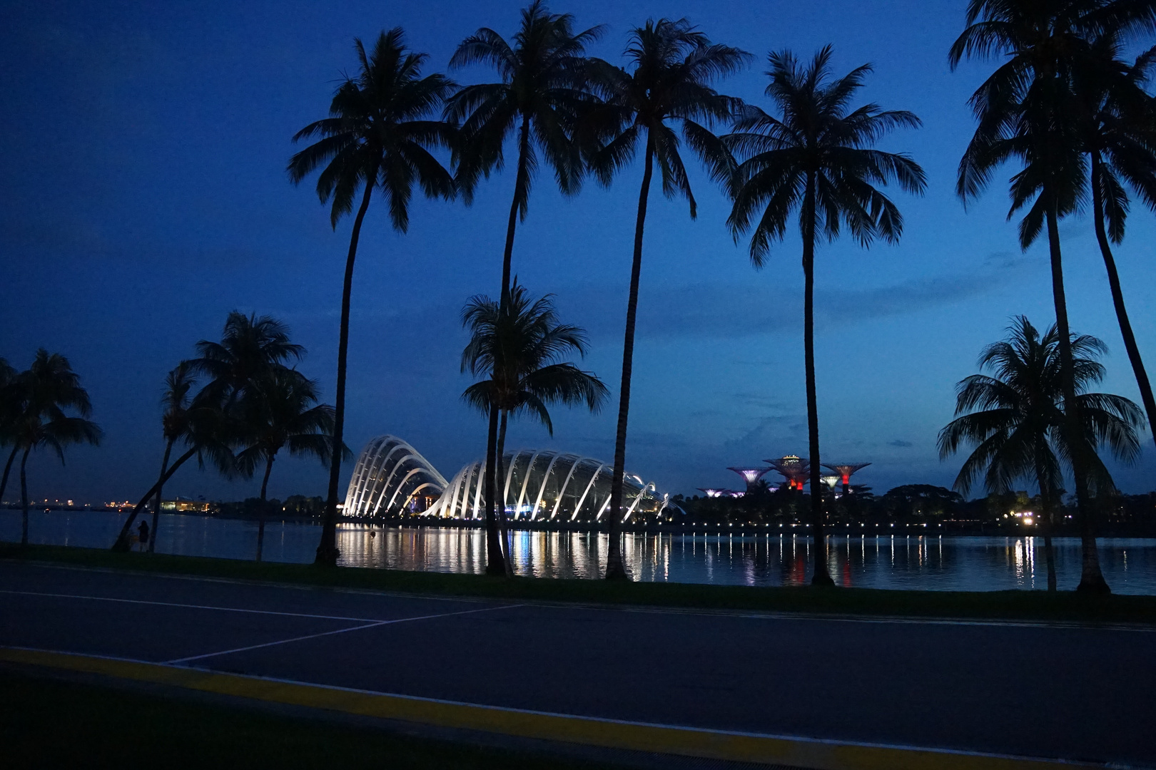 Singapore - Gardens by the Bay ....    oder so?