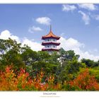 Singapore  "Herbst in Singapore ?"