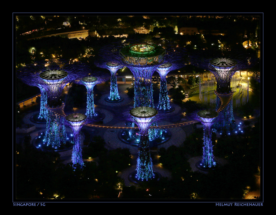 Singapore Night Impressions VIII, Gardens By The Bay, Singapore / SG