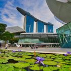 Singapore - Sands Bay Hotel