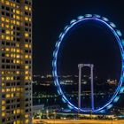 Singapore, Singapore Flyer