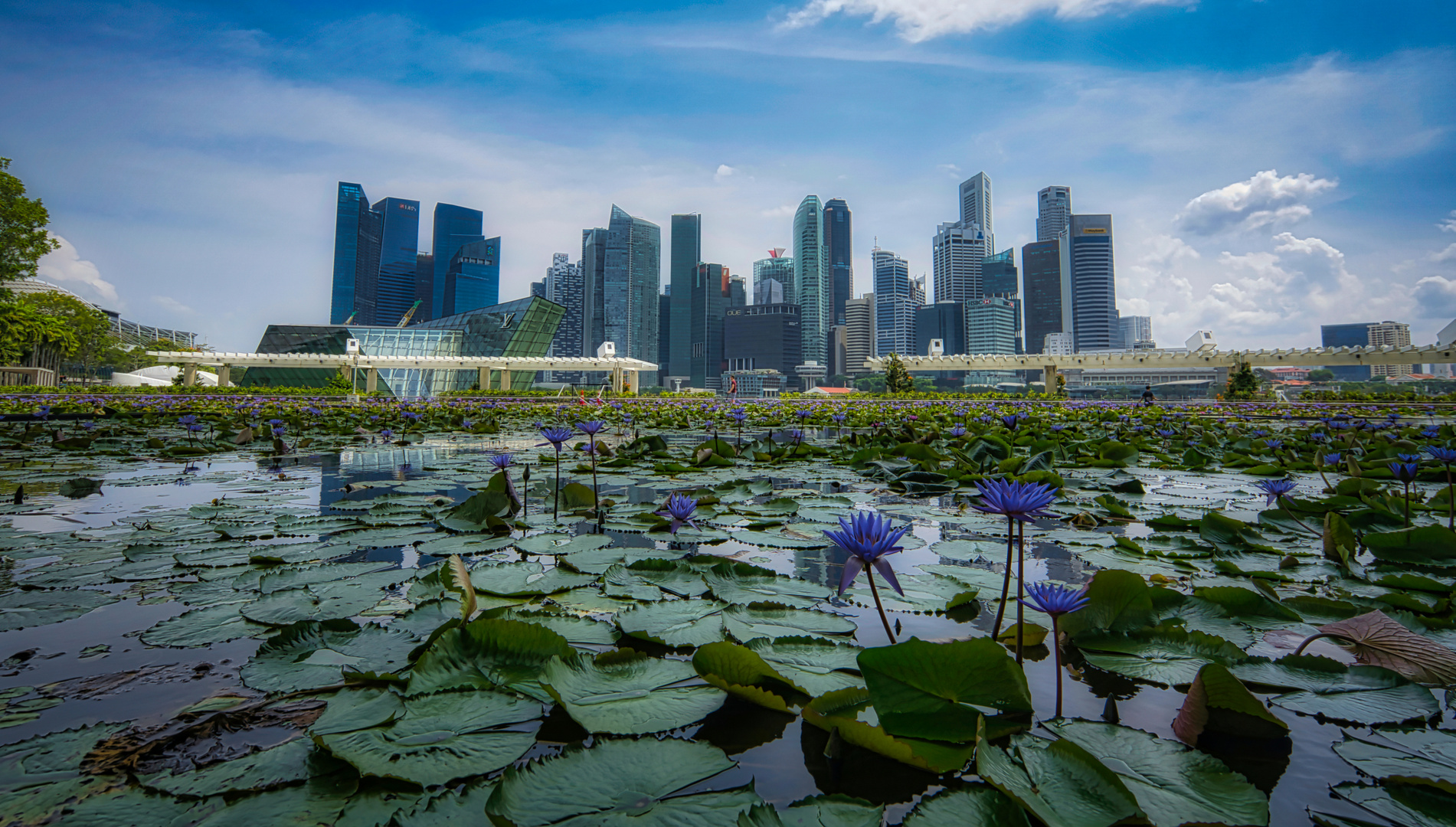 Singapore Skylines