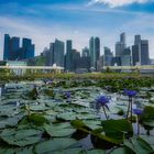 Singapore Skylines