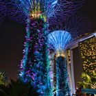 Singapore - Supertree Nights