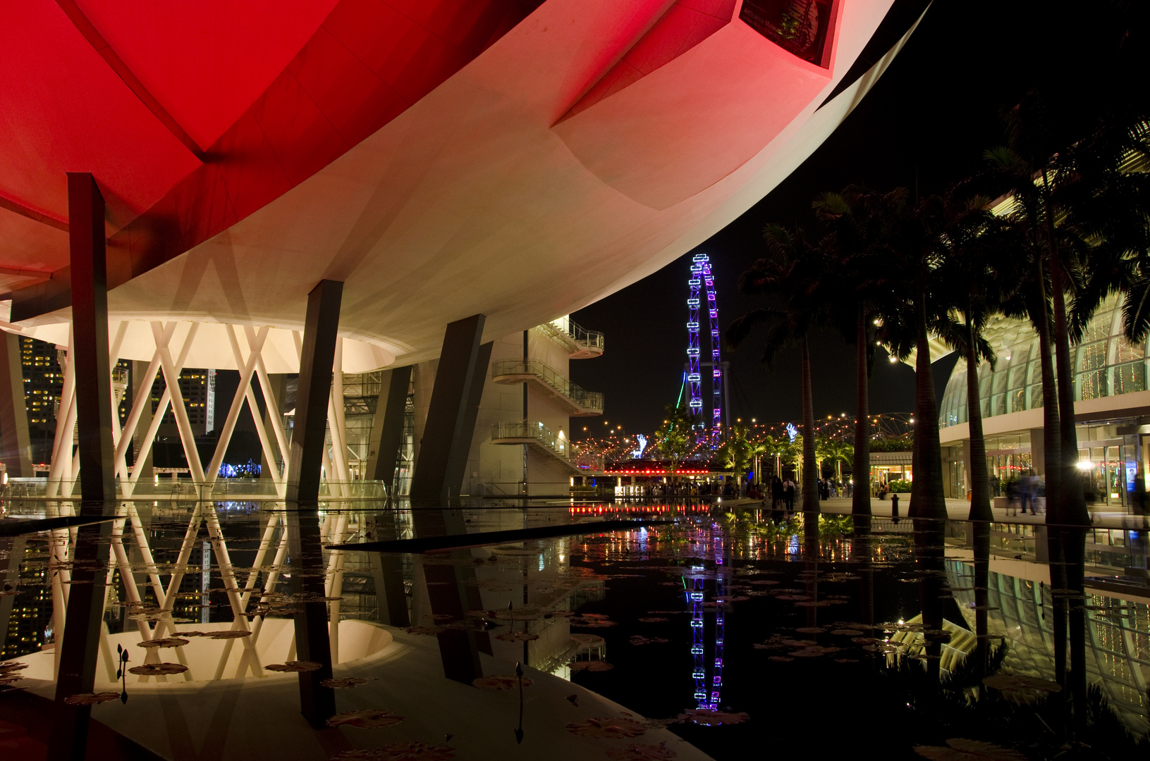 Singapore: Under the Lotus