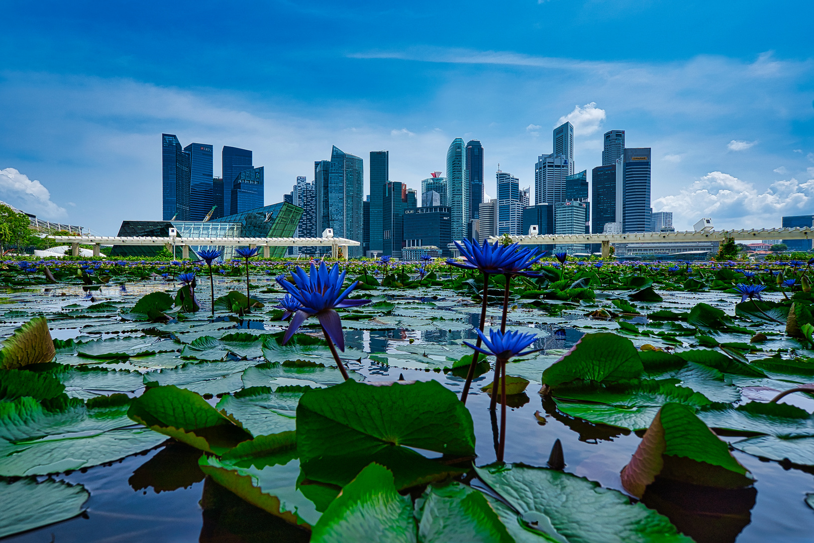 Singapore - wo die Natur zu Hause ist