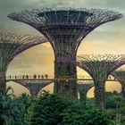 Singapore_Artificial Trees