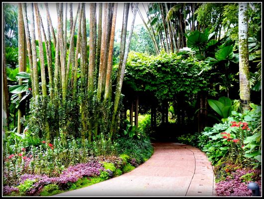 Singapour - 35 - Croisière Asie SE .