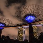 Singapur - Garden by the Bay