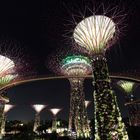 Singapur: Gardens by the Bay