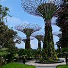 Singapur, Gardens by the Bay