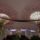 Singapur - Gardens by the Bay:  Im "Supertree Grove" mit dem "Marina Bay Sands Hotel" im Hintergrund